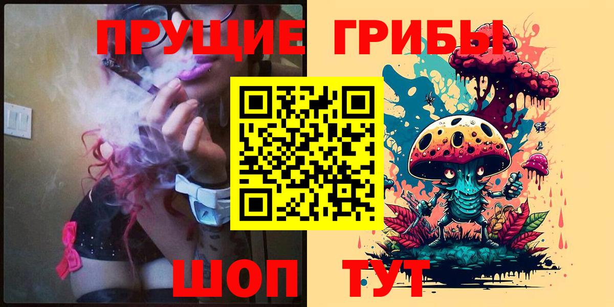 Галлюциногенные грибы Psilocybe  Вход с VPN  Каменск-Уральский  Галлюциногенные грибы GOLDEN TEACHER 
